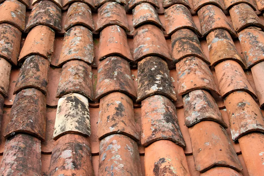 traitement sur mesure selon votre toiture